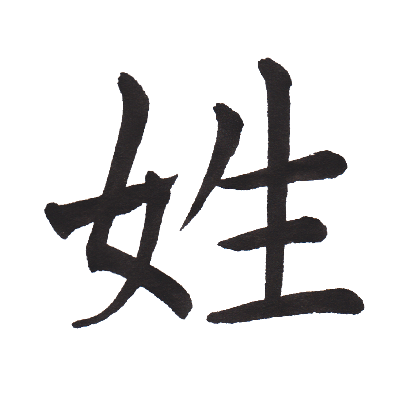 中学校で習う漢字三体字典 Part112 髓心