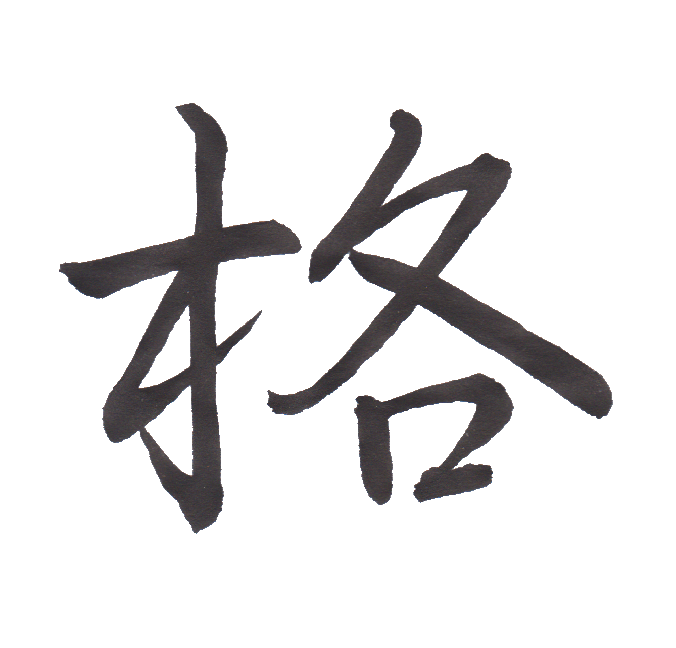 学校で習う漢字三体字典 小学生編五年生のまとめ 髓心